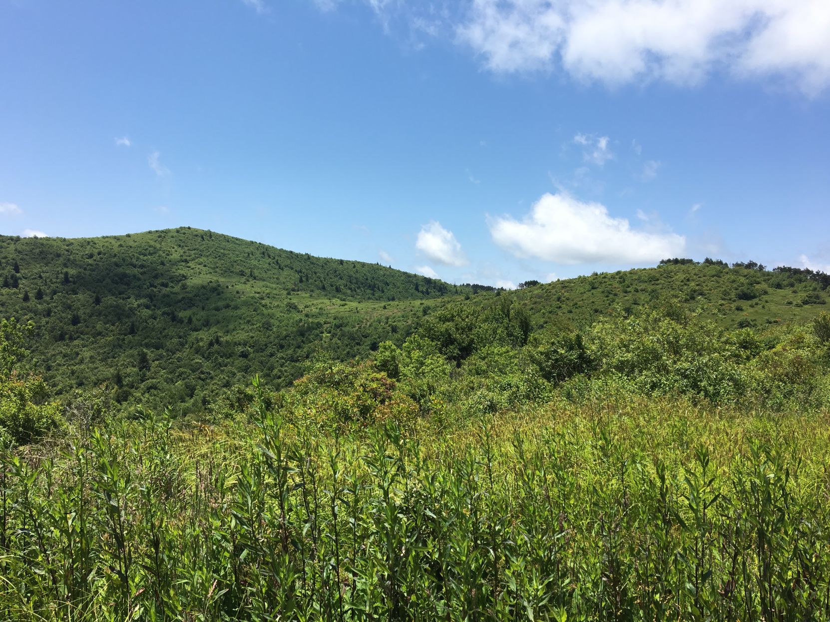 Looking back at Tennet Mountain from Grassy Cove Trail